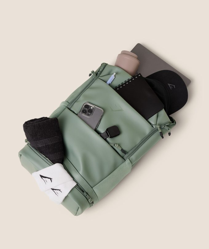 Sleek Backpack
