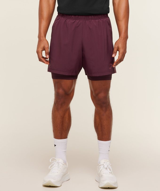 Sport 5" 2 in 1 Shorts