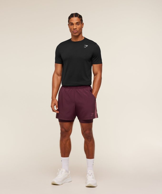 Sport 5" 2 in 1 Shorts