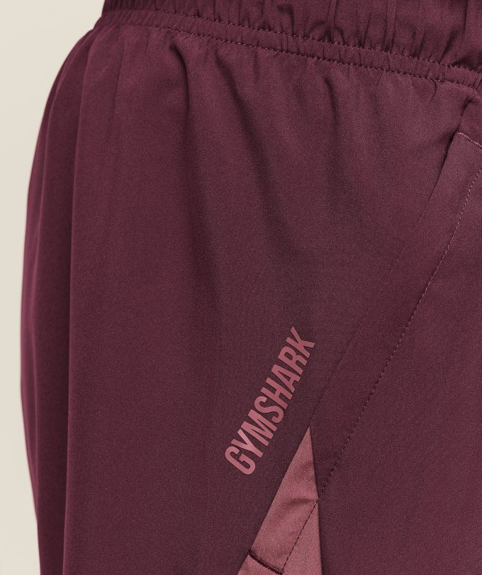 Sport 5" 2 in 1 Shorts