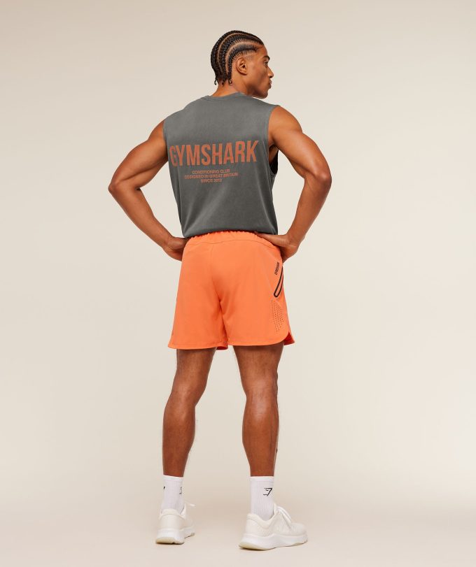 Sport Hybrid 6" Shorts