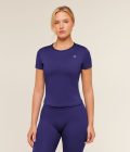 indigo-purple